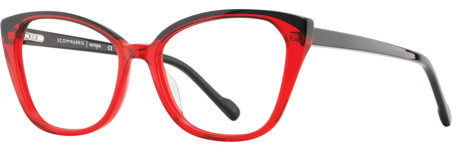 Scott Harris SH846 Eyeglasses - view 9